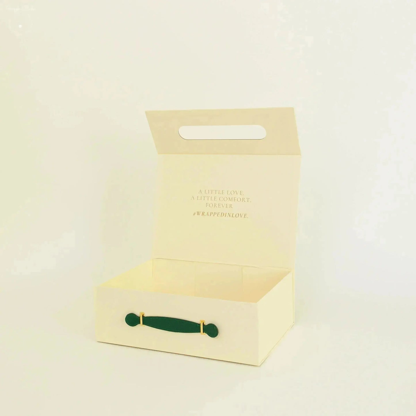 The Complete Snuggle Gift Box – Dino Dreams Snuggle Buds