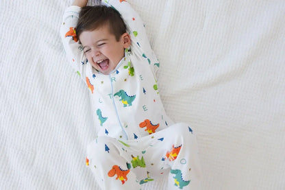 The First Birthday Gift Box – Dino Dreams Snuggle Buds