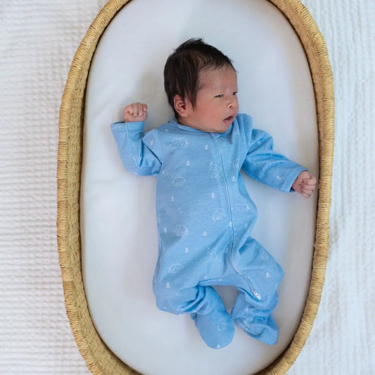 Newborn Gift Box (Blanket + Onesies + Lovey) – Tiny Trunks Snuggle Buds