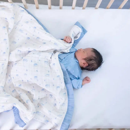 Zipped Onesie (0–12 Months) – Tiny Trunks Snuggle Buds